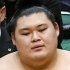 大の里（Ｃ）共同通信社