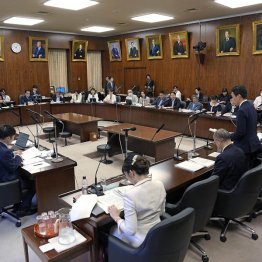 全てがいい加減（同法案が実質審議入り＝参院内閣委、9日）／（Ｃ）共同通信社