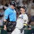 生還する近本光司＝11日、ヤクルト戦（Ｃ）共同通信社