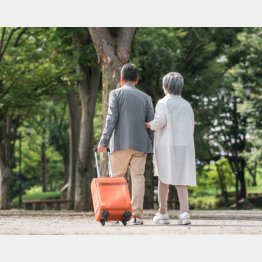 写真はイメージ
