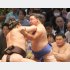 豊昇龍の強烈かち上げを食らっても…（取り組みをみつめる大の里＝右）／（Ｃ）日刊ゲンダイ