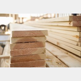 木材の7割近くは輸入依存（写真はイメージ）／（Ｃ）iStock