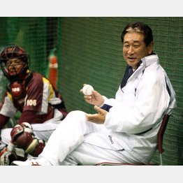 秋季練習でいきなり…（星野仙一楽天監督＝当時）／（Ｃ）日刊ゲンダイ