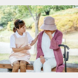 写真はイメージ