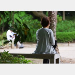写真はイメージ（Ｃ）日刊ゲンダイ