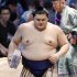 大の里（Ｃ）共同通信社