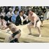 幕下優勝の旭富士（右）／（Ｃ）共同通信社