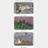 死亡した（上から）ムギ、イチゴ、ルエナ（多摩動物公園公式サイトから）