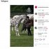 メーガンさんとミロ（英ロイヤル・ウィンザー・ホース・ショーの公式インスタグラムから）
