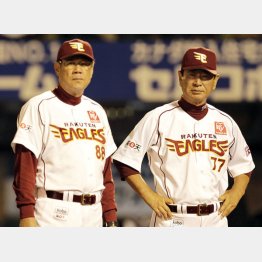 盟友の星野仙一監督＆田淵幸一一軍ヘッドコーチコンビ（Ｃ）日刊ゲンダイ