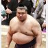 高安（Ｃ）日刊ゲンダイ
