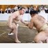 安青錦（代表撮影）　