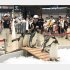日本一の500羽（Ｃ）日刊ゲンダイ