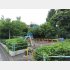 山谷の憩いの場・玉姫公園（Ｃ）日刊ゲンダイ