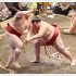 突き落としで隆の勝に敗れた熱海富士（Ｃ）日刊ゲンダイ