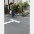 鳩にパンをやるオヤジさん。自らとて「持たざる者」だが、それでも、鳩にパンを与えている（Ｃ）日刊ゲンダイ