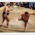 高安（左）に突き出しで敗れる大の里（Ｃ）日刊ゲンダイ