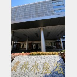 農林水産省（Ｃ）日刊ゲンダイ
