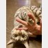 ベンガル猫のナユタ（提供写真）
