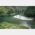 豊かな自然が広がる安居渓谷（Ｃ）日刊ゲンダイ