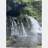 鳥海山から湧き出す元滝伏流水（Ｃ）日刊ゲンダイ