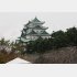 名古屋城の金のしゃちほこは全国区の知名度だが…（Ｃ）日刊ゲンダイ
