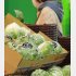 ひと玉300円台も…（Ｃ）日刊ゲンダイ