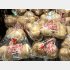 病害虫が侵入すれば壊滅的被害の恐れも（スーパーに並べられた北海道産じゃがいも）／（Ｃ）共同通信社