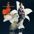 「この世は祭り」新装盤（提供写真）