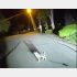 （リーウッド市警のfacebookから）