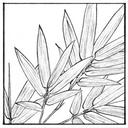 イラスト・竹田嘉文