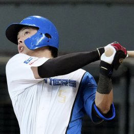 本塁打数が伸びた日本ハム・野村佑希（Ｃ）共同通信社